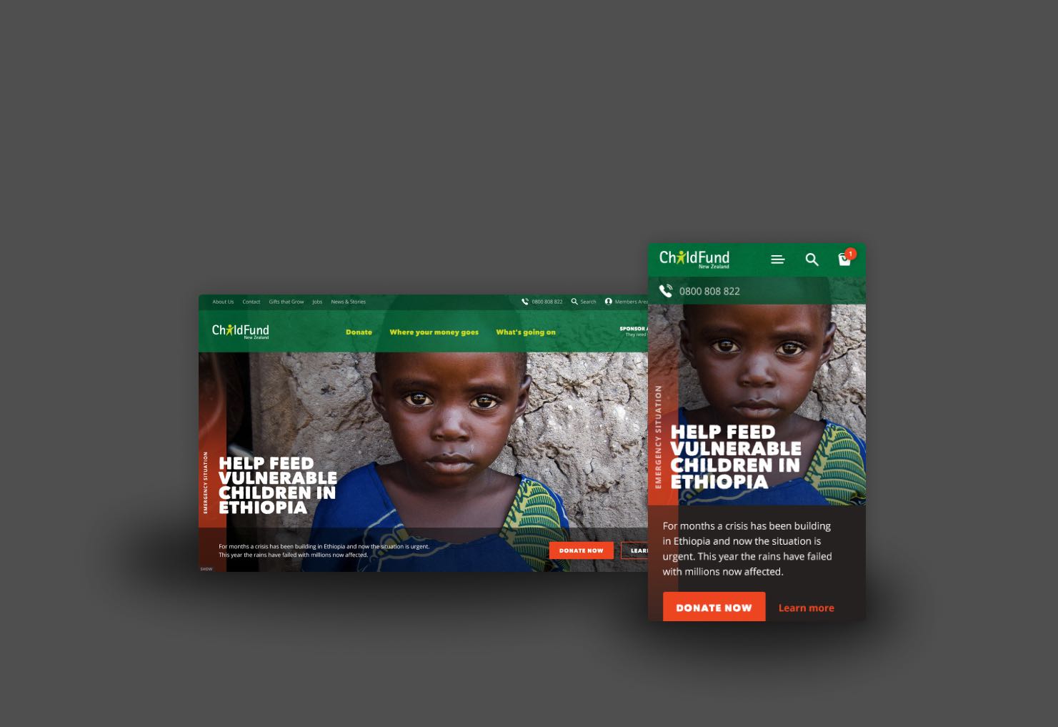 Screen shots of the Childfund website
